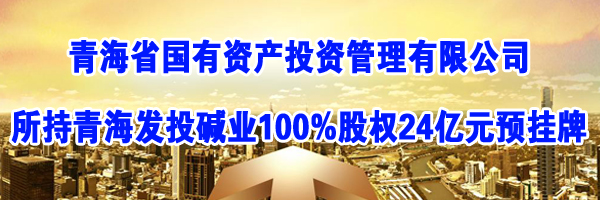 青海发投碱业有限公司100%股权