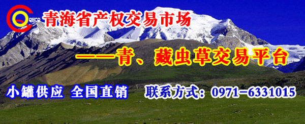 虫草平台